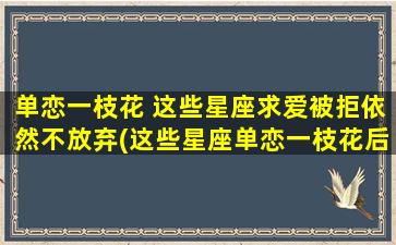 单恋一枝花 这些星座求爱被拒依然不放弃(这些星座单恋一枝花后求爱被拒，却从未放弃追求！)